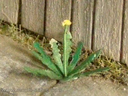 Model Scene: Dandelion