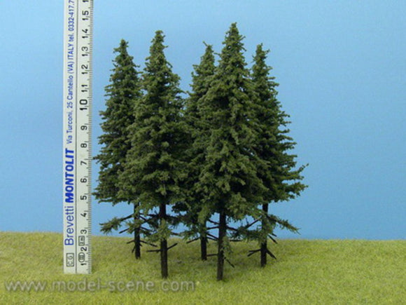 Model Scene: Spruce Trees with short trunks (4)