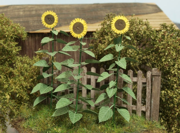 Model Scene: Sunflower