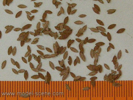 Model Scene: Realistic Leaves - Universal Autumn