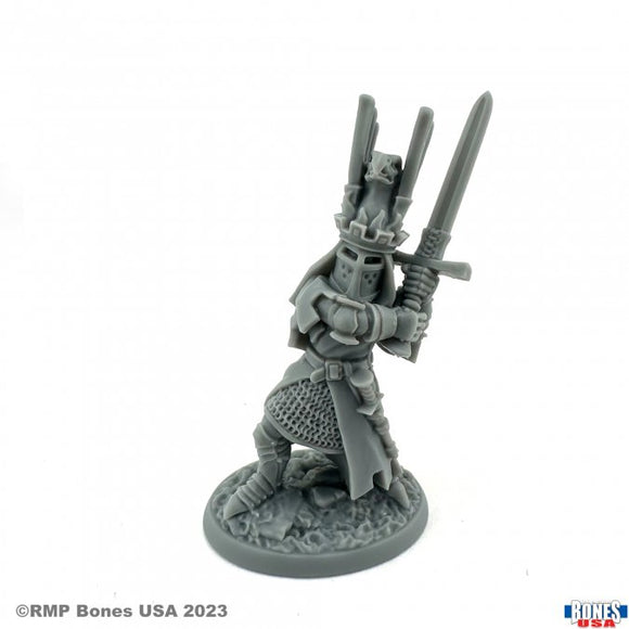 Reaper 30155: Sir James the Blue Reaper Legends Plastic Miniature