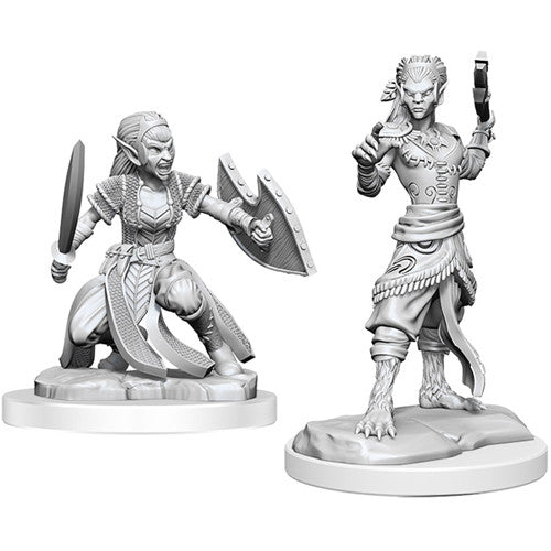 Dungeons & Dragons Nolzur's Marvelous Miniatures: Shifter Fighter