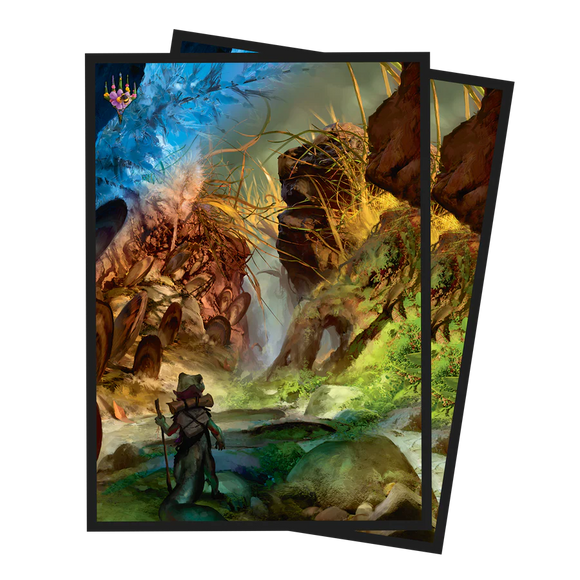 Magic the Gathering: Bloomburrow - Seasons Swamp Summer (Black) Deck Protectors