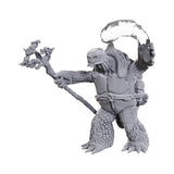 Dungeons & Dragons Nolzurs Marvelous Miniatures: Tortle Druid &  Wild Shape Giant Lizard