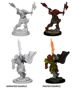 Dungeons & Dragons Nolzur's Marvelous Miniatures: Dragonborn Fighter