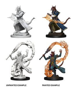 Dungeons & Dragons Nolzur's Marvelous Miniatures: Tiefling Sorceror