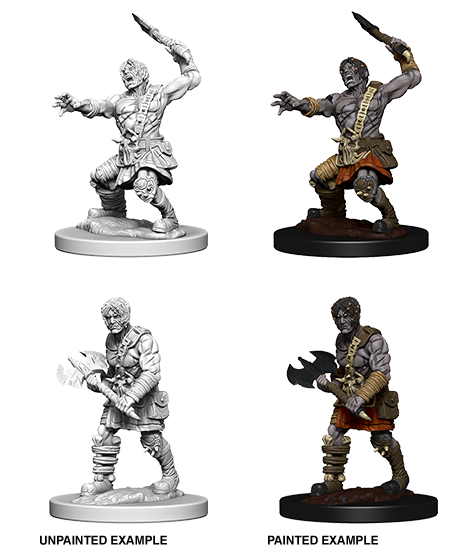 Dungeons & Dragons Nolzur's Marvelous Miniatures: Nameless One