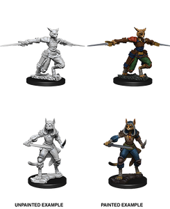 Dungeons & Dragons Nolzur's Marvelous Miniatures: Tabaxi Rogue