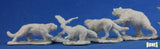 Reaper 77216: Animal Compansions (5) - Dark Heavens Bones Plastic Miniature