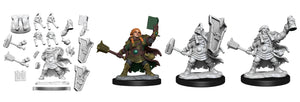 Dungeons & Dragons Frameworks: Dwarf Cleric