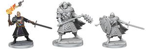 Dungeons & Dragons Frameworks: Human Fighter