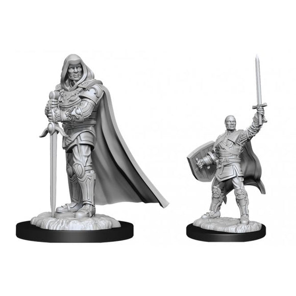 Dungeons & Dragons Nolzur's Marvelous Miniatures: Human Paladin Male