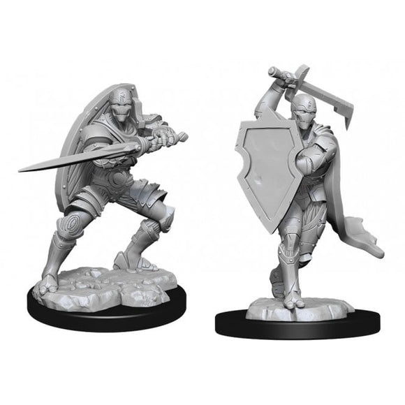 Dungeons & Dragons Nolzur's Marvelous Miniatures: Warforged Fighter Male