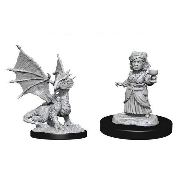 Dungeons & Dragons Nolzur's Marvelous Miniatures: Silver Dragon Wyrmling & Halfling Dragon Friend