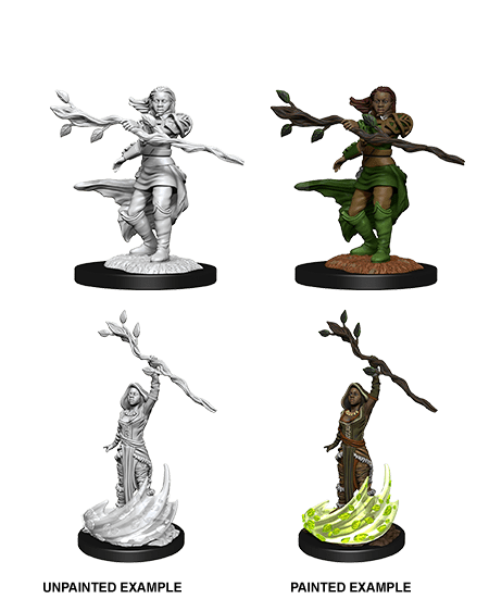 Dungeons & Dragons Nolzur's Marvelous Miniatures: Human Druid Female