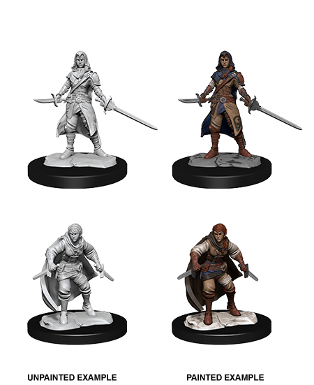 Dungeons & Dragons Nolzur's Marvelous Miniatures: Half-Elf Rogue