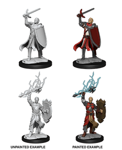 Dungeons & Dragons Nolzur's Marvelous Miniatures: Half-Elf Paladin