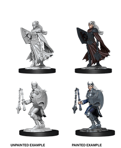 Dungeons & Dragons Nolzur's Marvelous Miniatures: Kalashtar Cleric