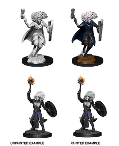 Dungeons & Dragons Nolzur's Marvelous Miniatures: Changeling Cleric