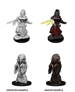 Dungeons & Dragons Nolzur's Marvelous Miniatures: Night Hag & Dusk Hag