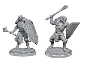 Dungeons & Dragons Nolzur's Marvelous Miniatures: Dragonborn Clerics